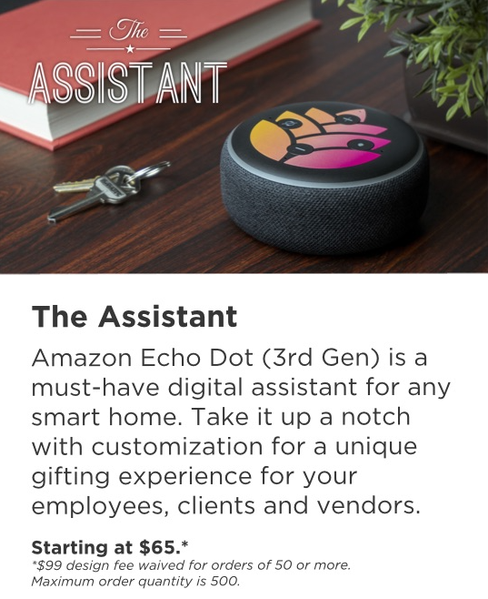 The Assistant: Amazon Echo Dot + one point of customization